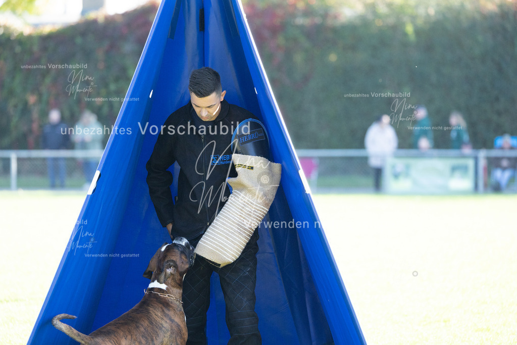 _16A5005 | Einzigartige Fotos von Hunden & Menschen –Actionfotos, Portraits, Vereinsaufnahmen & Paarshootings – authentisch, lebendig & mit Herz.