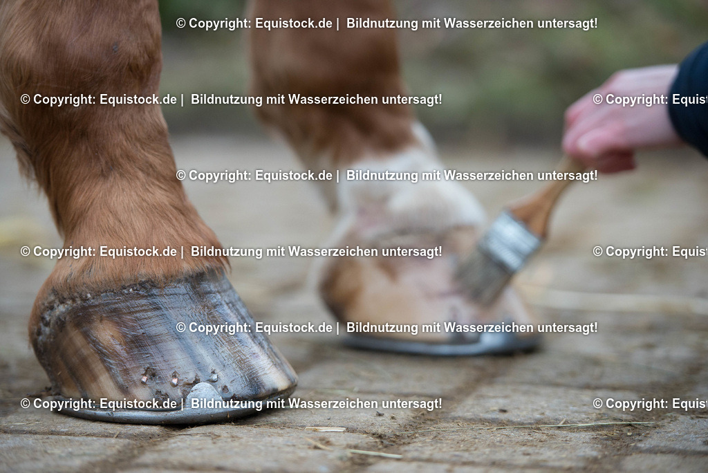 20171206_Hufpflege_Hartig_0003 | Foto: Thomas Hartig