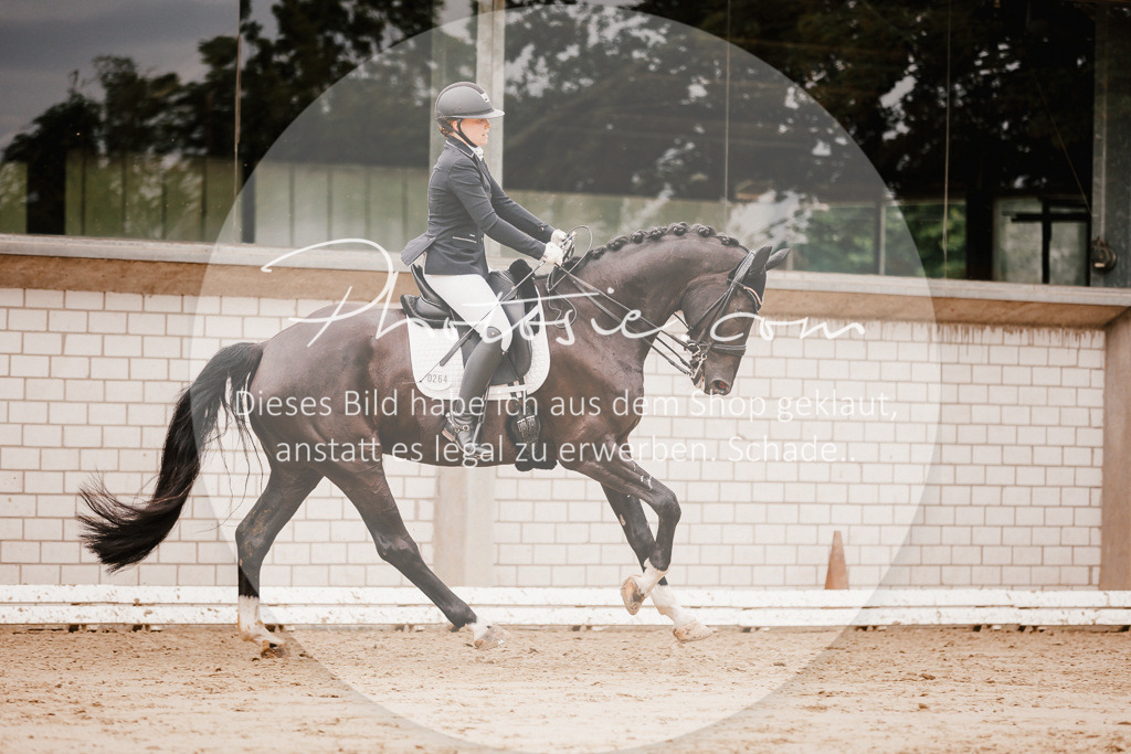 3I6A7722 | Stimmungsvolle Portraits und Reitsportfotografie im Ruhrgebiet und im Münsterland.

Pferdefotografie, Hundefotografie, Tierfotografie, Reportagen, Portraits von Tier und Mensch, Turnierfotografie in Bochum, Recklinghausen, Marl, Haltern am See, Dülmen.. - Realisiert mit Pictrs.com