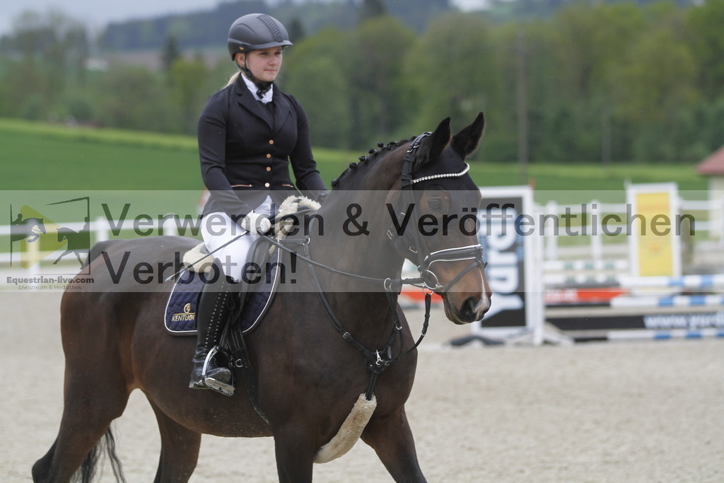 _MG_0706 | equestrian-live-com