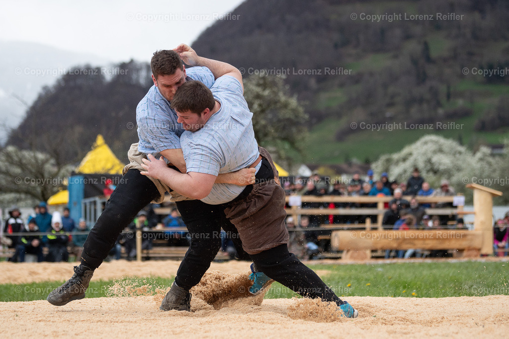 Schwingen -  Rheintal-Oberländer 2024 | Trübbach, 24.3.24, Schwingen - Rheintal-Oberländer.