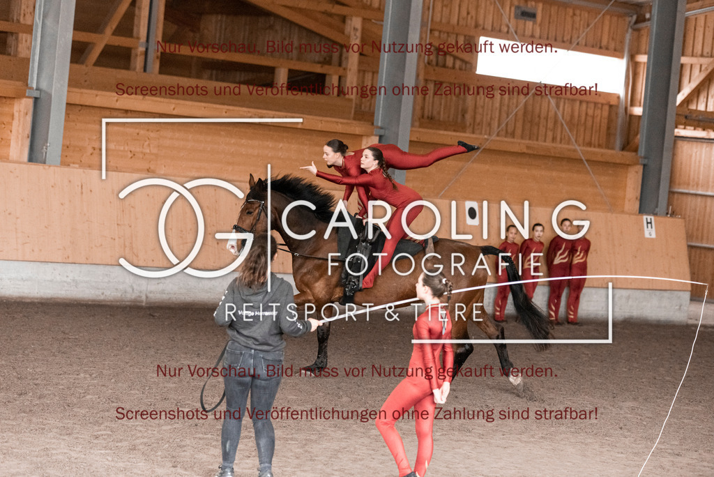 DSC_2117 | Turnierfotografin Carolin Gieschke,Reitsport Turnierfotografie Carolin G Fotografie | Turnierfotos aus Kirchheim/Teck, Esslingen, Stuttgart und dem Bodenseekreis