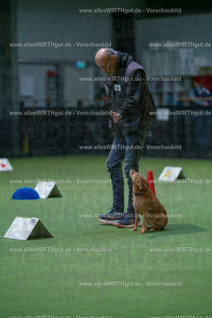 7R502648 | Professionelle Tierfotografie in Mönchengladbach von Daniel Wirth (allesWIRTHgut). Liebevolle & natürliche Bilder von Hunden & Katzen für unvergessliche Erinnerungen.