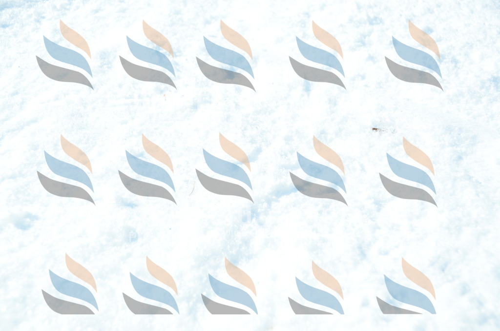 C6626 | holidayphoto