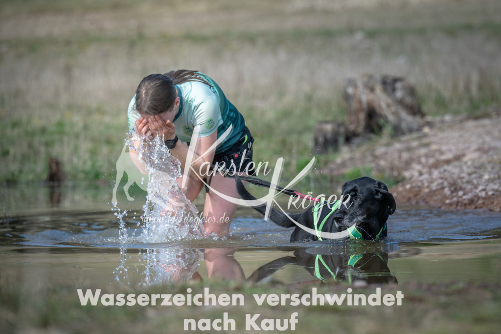 1110_ZZ93202 | kk-dogfotos