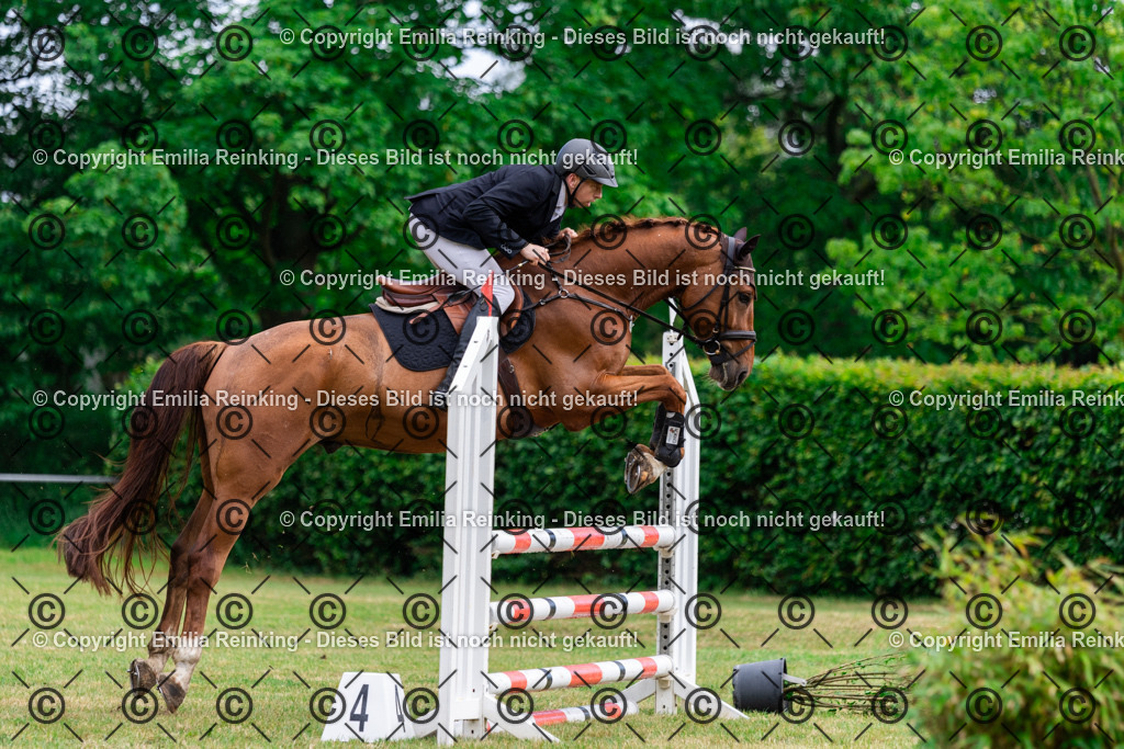 CL5A5591 | Emilia Reinking Fotografie - Realisiert mit Pictrs.com