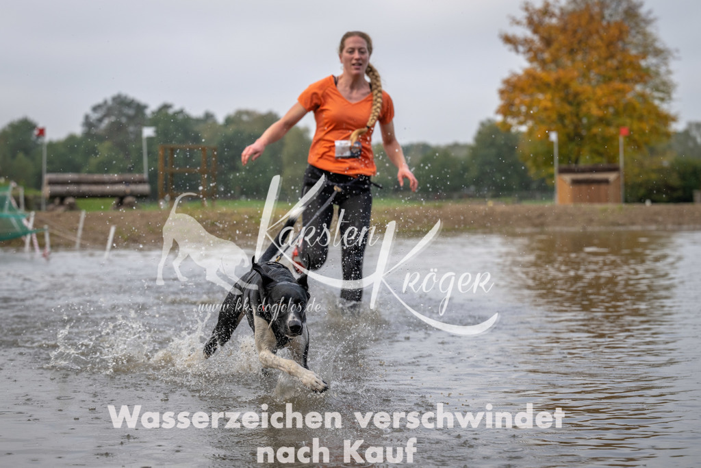 0911_ZZ94103 | kk-dogfotos