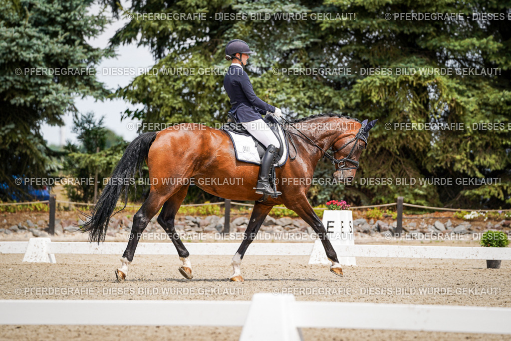 DSC02027 | Pferdegrafie