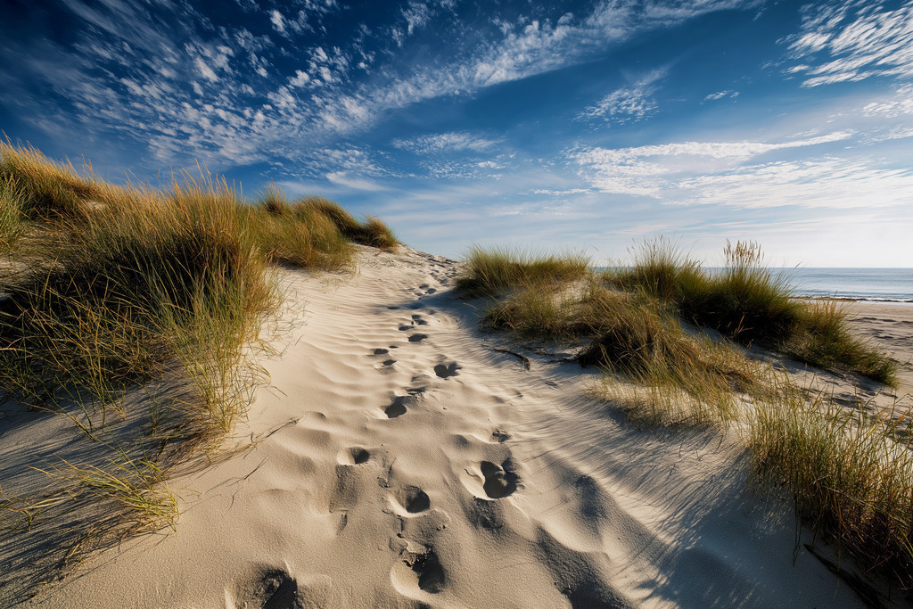 2507033 - Fußspuren im Dünensand | Stimmungsvolle Nordseeatmosphäre im Stil einer Fotografie.