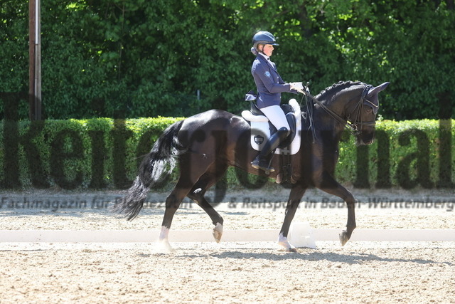 Böblingen_2025_Prfg.Nr.08_Dressurprüfung_Kl.M_Nürnberger Burgpokal_Laura Baisch_Bryony (2) | Alle Fotos der Reiterjournal Fotografin Doris Matthaes im Reiterjournal Online-Fotoshop. - Realisiert mit Pictrs.com