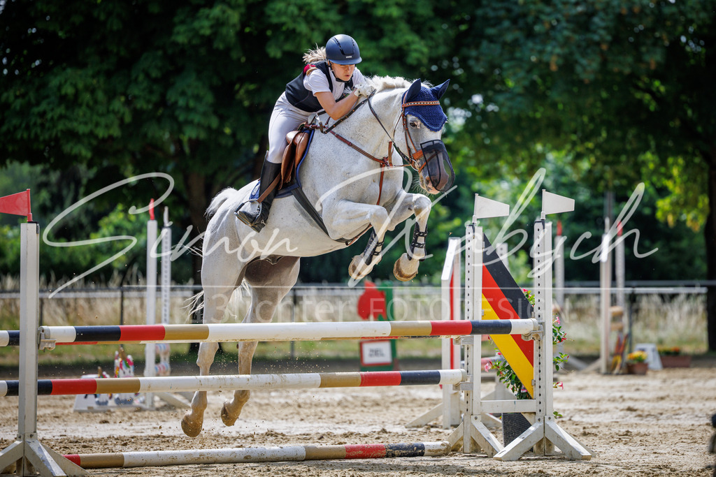 20260705-_3LI4620 | Tierfotografie Pferde, Hunde, Katzen, Haustiere.
Turnierfotografie Reitturniere, Reiten, Springreiten, Dressur in Hanau, dem Main-Kinzig-Kreis und dem Rhein-Main- Gebiet um Frankfurt