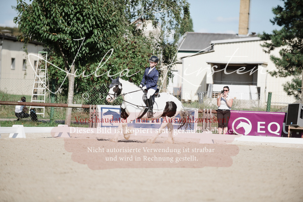 DSC_0108 | Pferde- und Turnierfotografie in Westsachsen. Pferdeportraits, Auftragszeichnungen und intuitive Kunst.