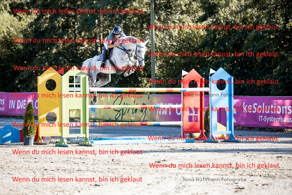 BK1A8582 | Turnierbilder Turnierfotos Nina Hüffmann Turnierfotografie Pferdefotografie Tierzeichnung Haustierzeichnung Pferdezeichnung Hundezeichnung Videograf  - Realisiert mit Pictrs.com