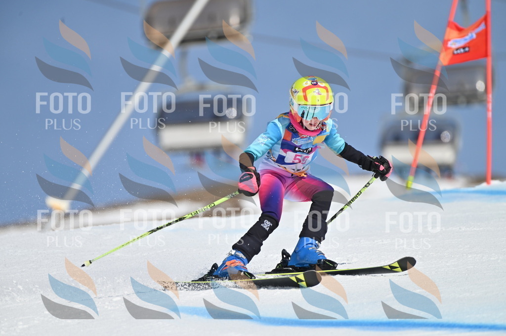 BGV_8706 | holidayphoto