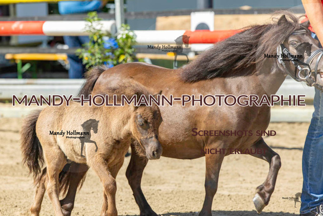 _MG_0571 | mandyhollmannphotographie