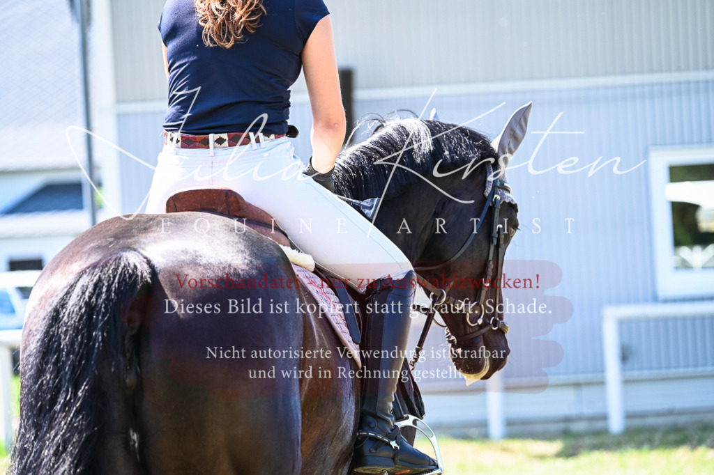 DSC_1032 | Pferde- und Turnierfotografie in Westsachsen. Pferdeportraits, Auftragszeichnungen und intuitive Kunst.