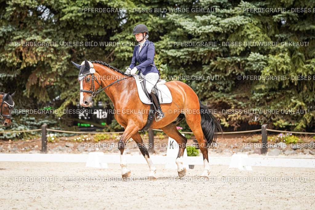 DSC04060 | Pferdegrafie