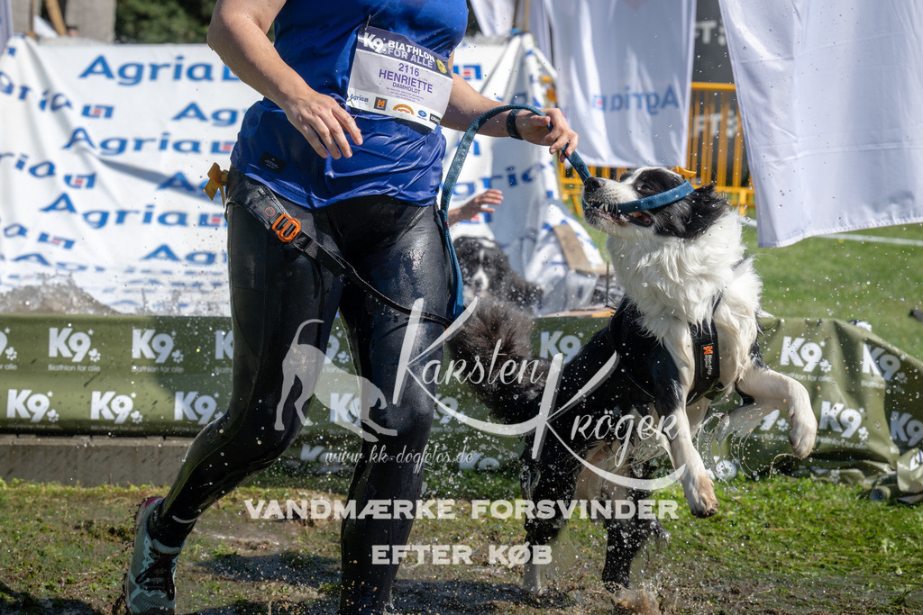 1145_ZZ93838 | kk-dogfotos