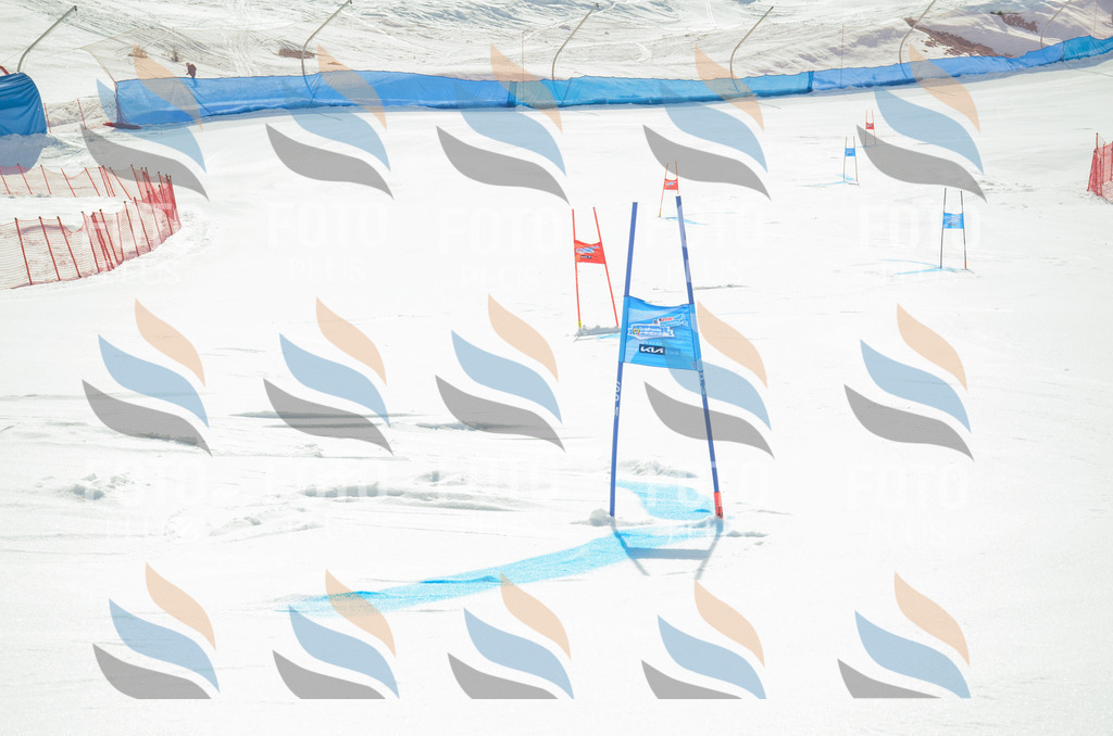 _ELE4259 | holidayphoto