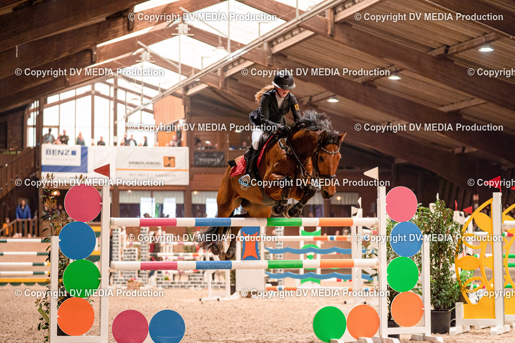 Springen Tag 3-526 | dv-media-shop - Realisiert mit Pictrs.com