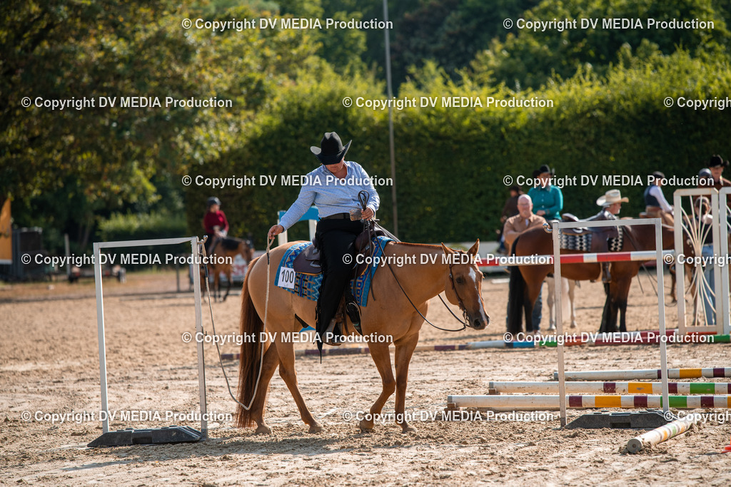 ZS3_9273 | dv-media-shop - Realisiert mit Pictrs.com