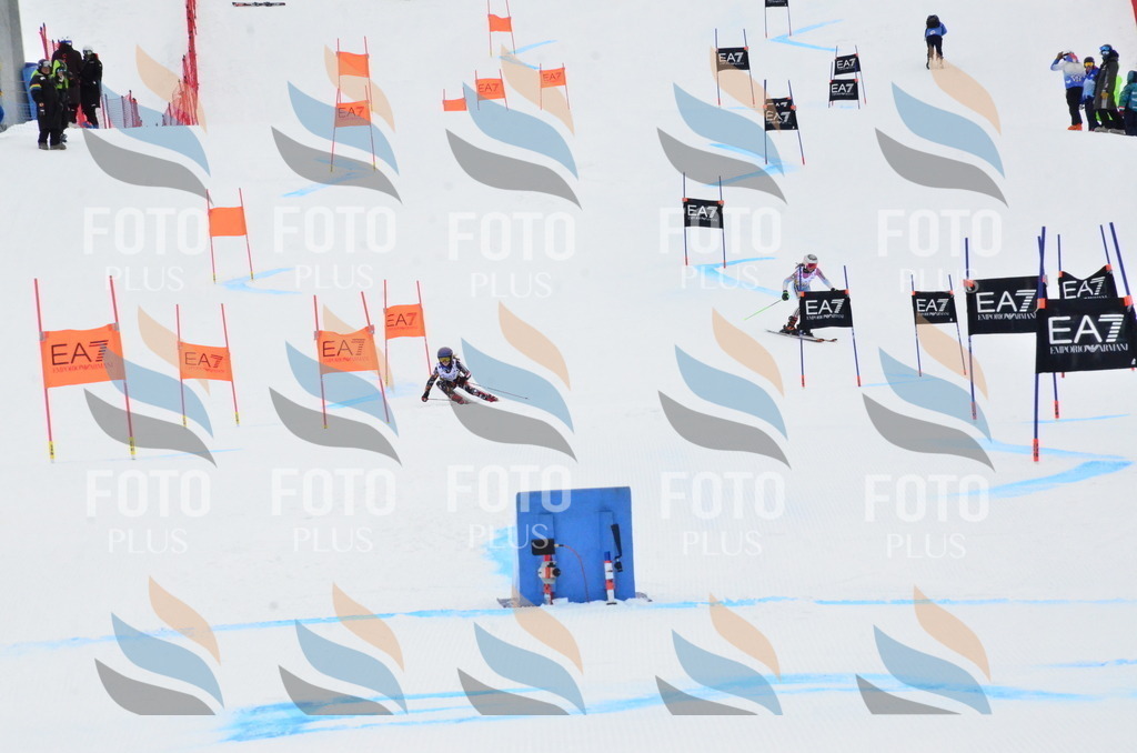 _ELE3580 | holidayphoto