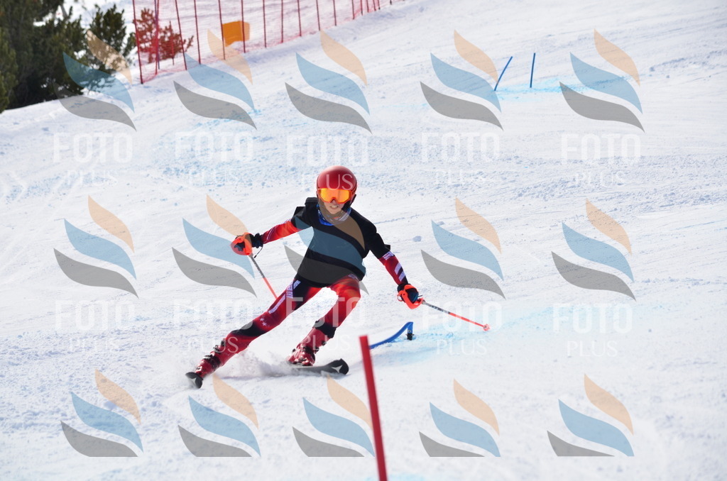 D0023 | holidayphoto