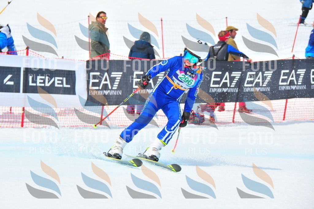 DSC_2764 | holidayphoto