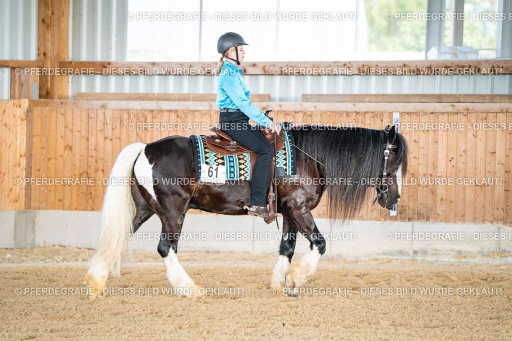 DSC08482 | Pferdegrafie