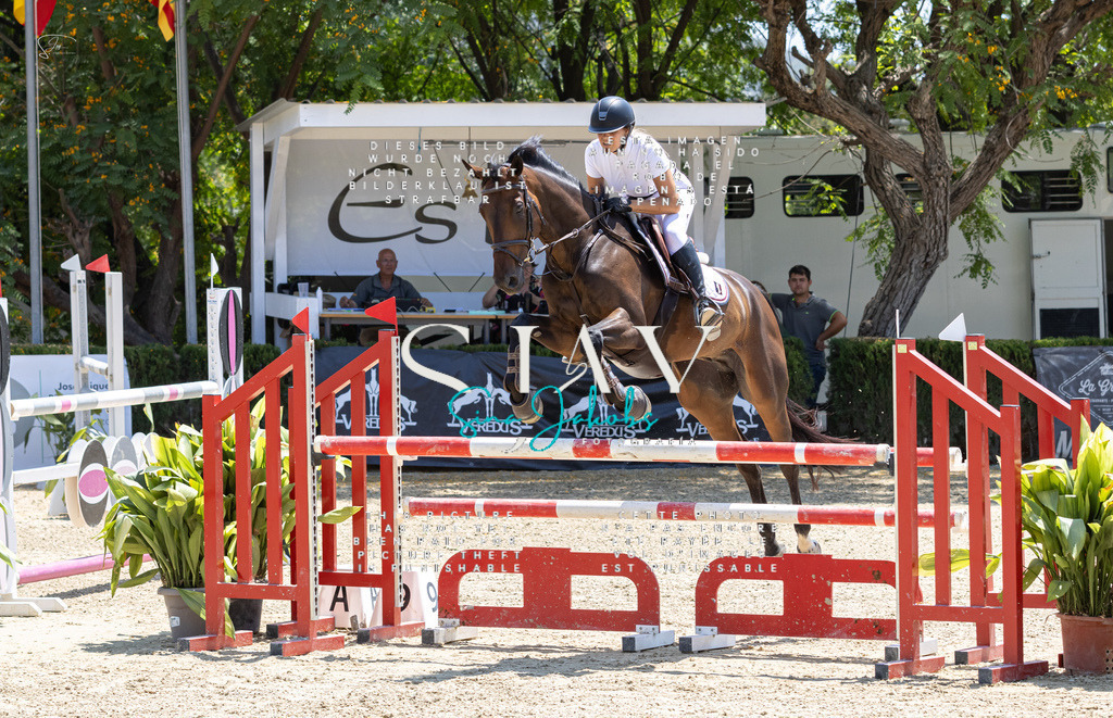 IMG_7501 | s-jay-photography - Realisiert mit Pictrs.com