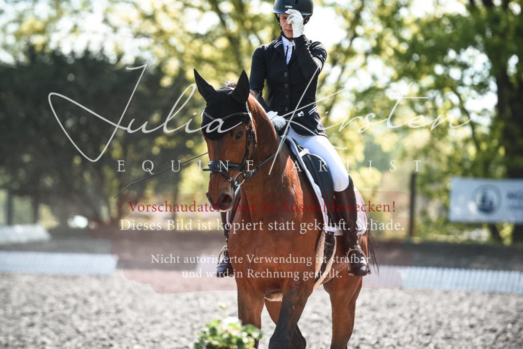 DSC_8930 | Pferde- und Turnierfotografie in Westsachsen. Pferdeportraits, Auftragszeichnungen und intuitive Kunst.