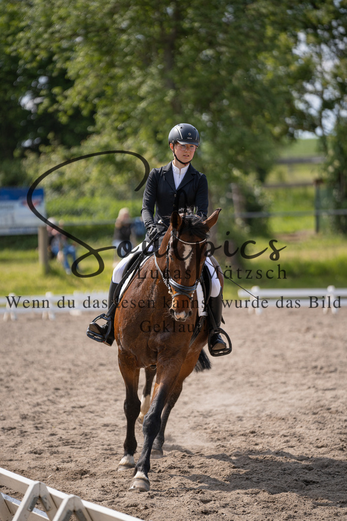 A7V02574 | Pferdefotograf