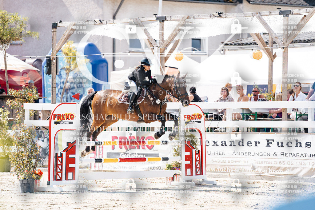 CK908624 | Turnierfotografie Pferdefotografie Trier Rheinland-Pfalz Pferdesport Reitsport Tierfotografie Sportfotografie Pferdevideo Pferdevideografie Equestrianvideography equestrianphotography  - Realisiert mit Pictrs.com