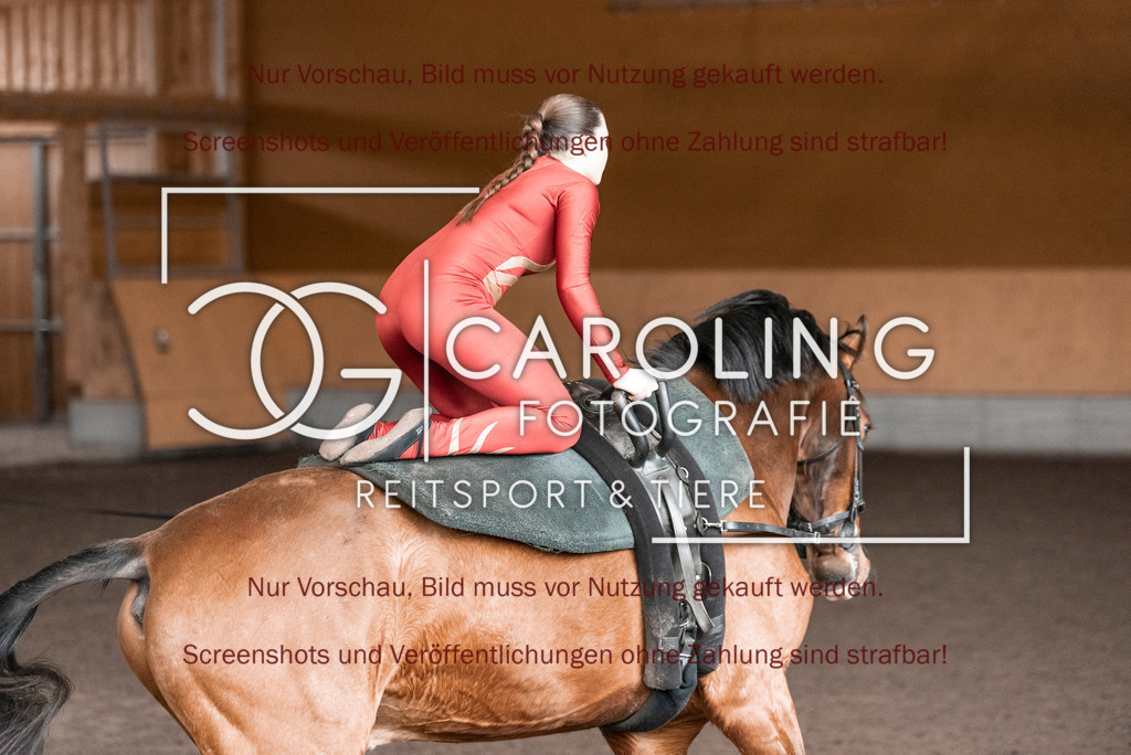 DSC_2001 | Turnierfotografin Carolin Gieschke,Reitsport Turnierfotografie Carolin G Fotografie | Turnierfotos aus Kirchheim/Teck, Esslingen, Stuttgart und dem Bodenseekreis