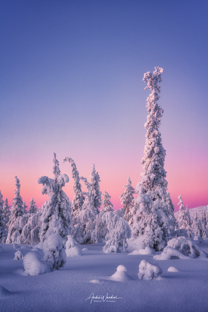 Im Licht der Stille | Andre Wandrei - Nature Artworx - Realisiert mit Pictrs.com