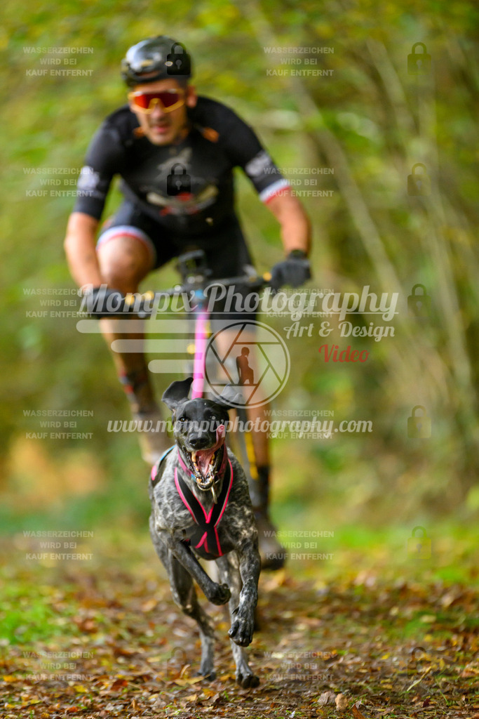 MompixPhotography_20TSB_E1_Bike-20 | PayLife