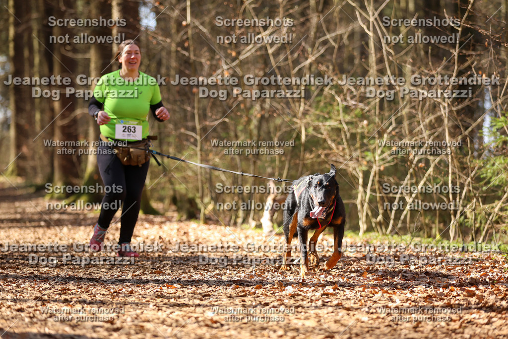 Dog Paparazzi - VCC26-1223 | Dog Paparazzi Jeanette Grottendiek Fotografie & Videografie - Realisiert mit Pictrs.com