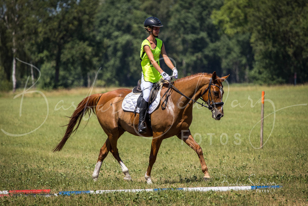 CJP_2026-06-26_28 | Stimmungsvolle Fotografie von Pferden, fotografische Begleitung von Veranstaltungen, Golfturnieren und Distanzritten - Realisiert mit Pictrs.com