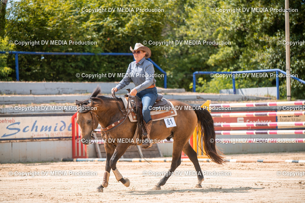 ZS2_8304 | dv-media-shop - Realisiert mit Pictrs.com