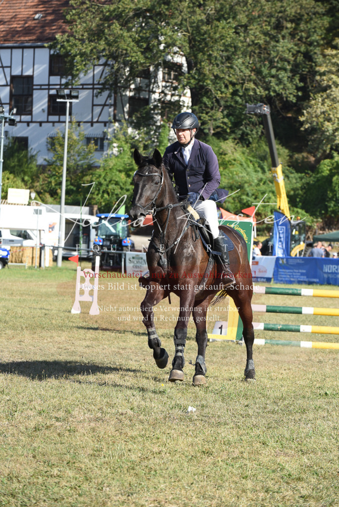 DSC_5343 | Pferde- und Turnierfotografie in Westsachsen. Pferdeportraits, Auftragszeichnungen und intuitive Kunst.