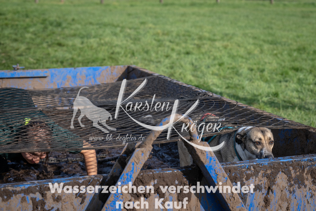 1644_ZZ93045 | kk-dogfotos
