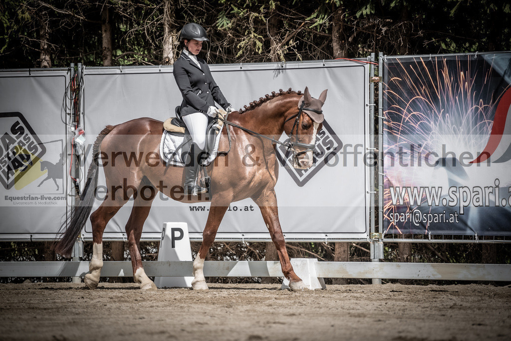 DSC_2991 | equestrian-live-com