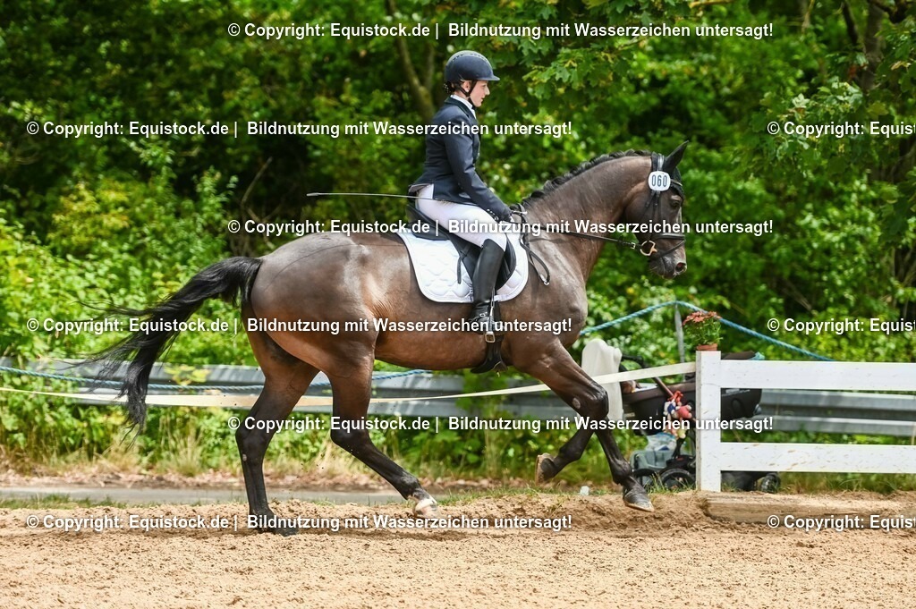20230716_03_Dressurprfg. Kl.L - Tr._0364 | equistock