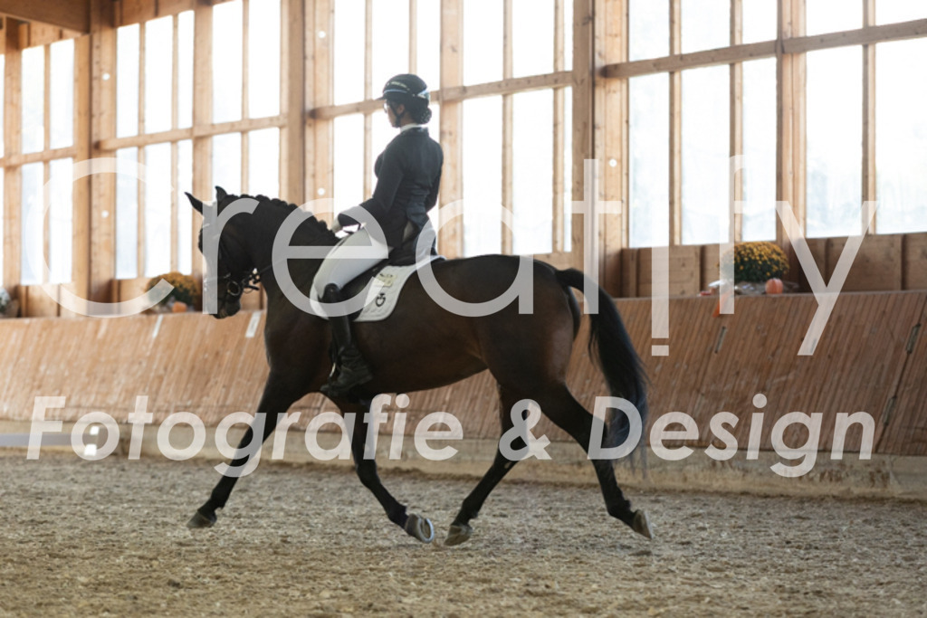 IMG_3701 | Creatify Fotografie