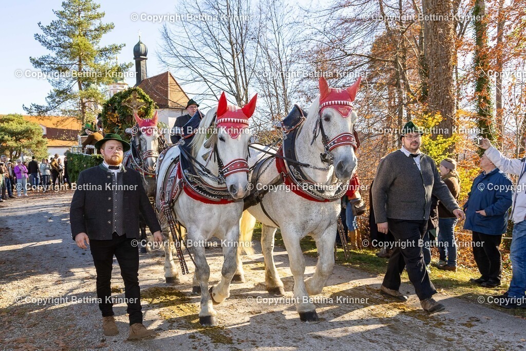 LBT25-1271 | foto-bettina-krinner - Realisiert mit Pictrs.com