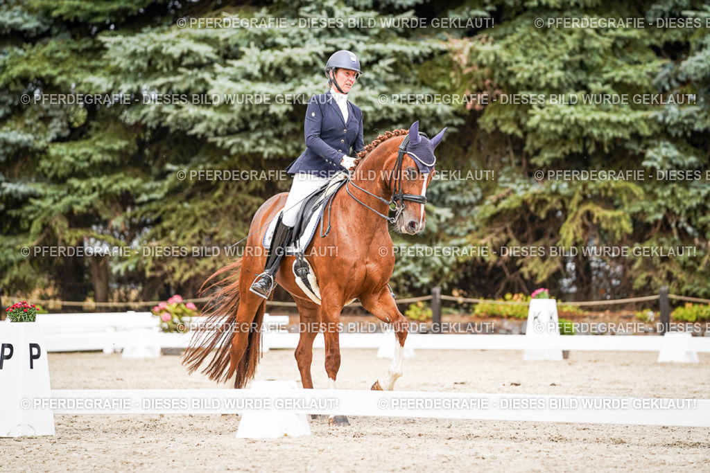 DSC05164 | Pferdegrafie