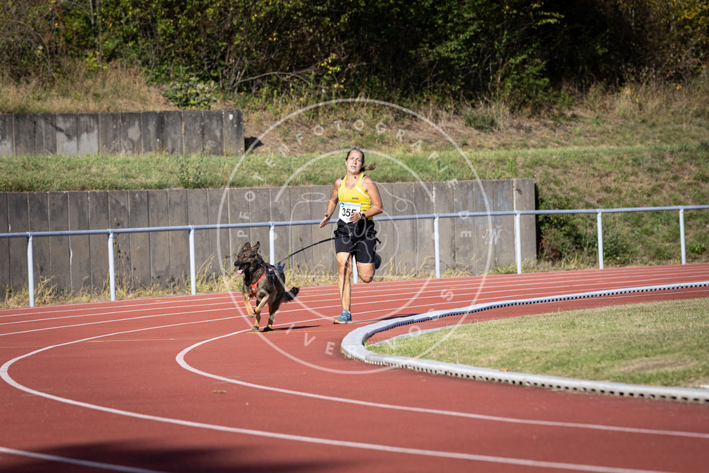 Pfotenfotografie_DV3A9742 | Hundefotografie, Tierfotograf, Pfotenfotografie, Fotoshooting Hund, Hunde Portrait, Hundesport, Hundeportraits, Heideshooting, Hunde, Sportfotograf, Hundefotograf, Turnierhundsport, THS,  - Realisiert mit Pictrs.com