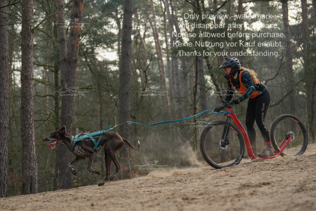 Scooter1-80 | stephaniefillaphotographie - Realisiert mit Pictrs.com