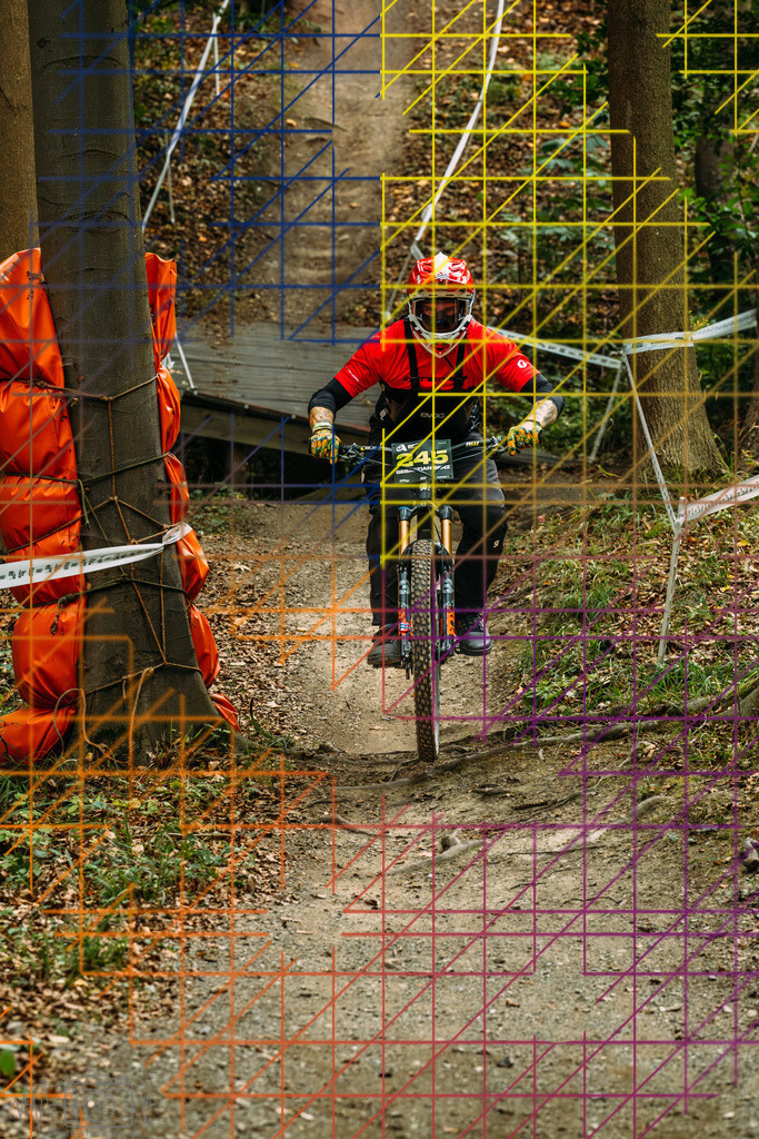 PAE-0504 | Einzigartige Fotokunst für dein Zuhause: Entdecke hochwertige Wandbilder, edle Prints und emotionale Motive von Wildlife, Natur und Landschaften - Realisiert mit Pictrs.com