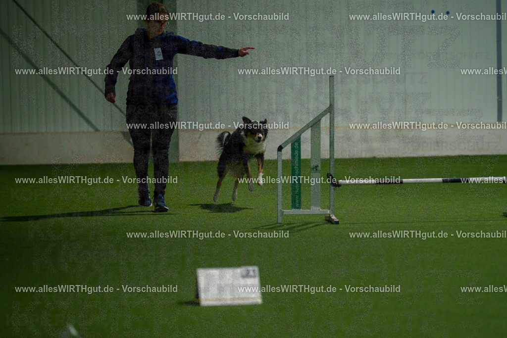 7R508189 | Professionelle Tierfotografie in Mönchengladbach von Daniel Wirth (allesWIRTHgut). Liebevolle & natürliche Bilder von Hunden & Katzen für unvergessliche Erinnerungen.